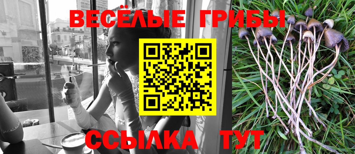 Ленинск-Кузнецкий  Галлюциногенные грибы MAGIC MUSHROOMS  Вход с VPN 